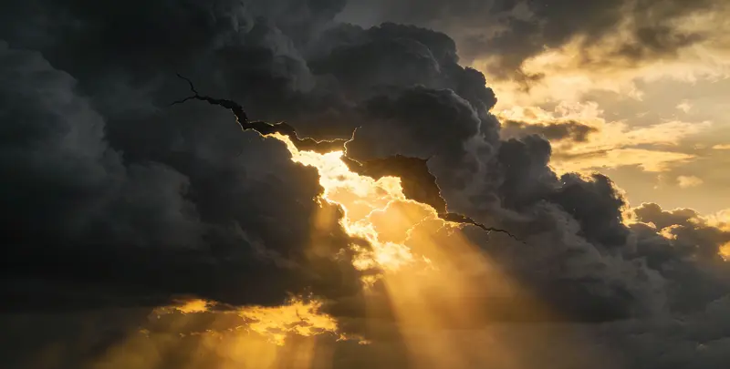 荆门肺癌12基因ctDNA突变检测(血液）图片1