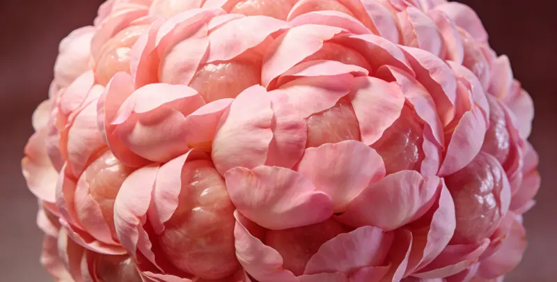 荆门BRCA1/2乳腺癌卵巢癌基因检测图片1