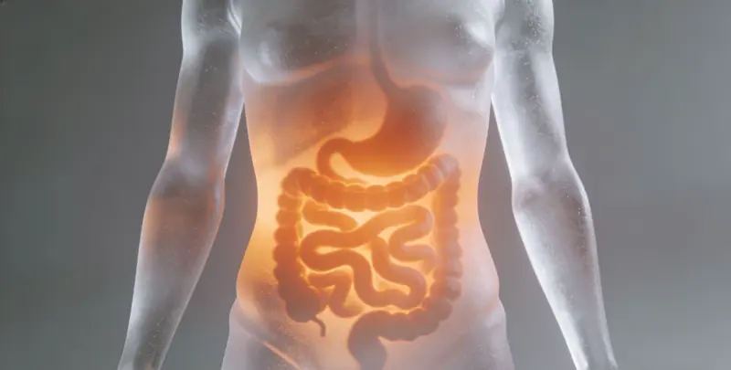 荆门肠癌甲基化检测图片1